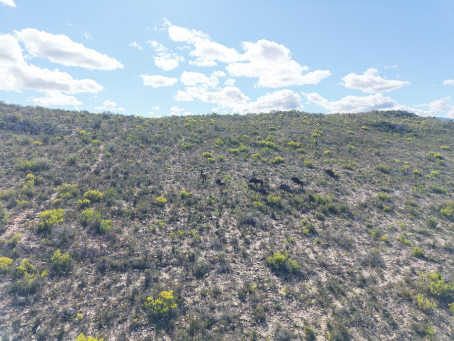 Commercial Property for Sale in Mossel Bay Rural Western Cape